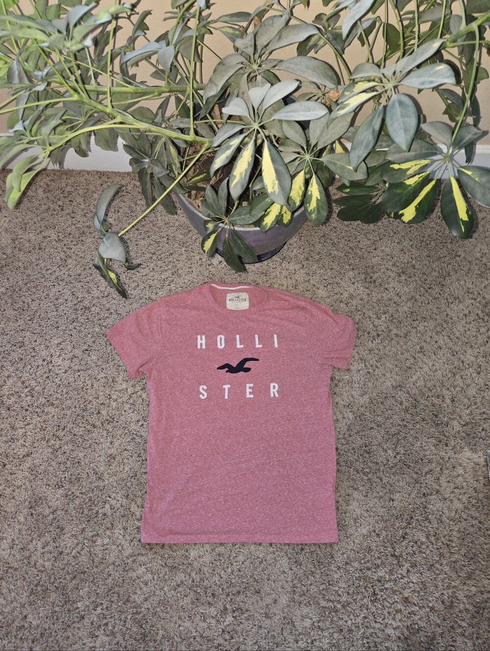 Hollister Tee Wmns Sz Lg